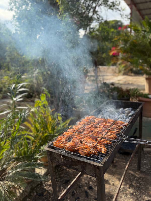 Mitarbeiter-Team-Grillen-familiär 